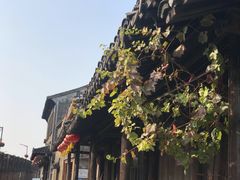 -南花桥羊肉馆老字号(乌镇店)