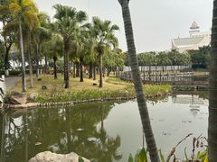 -映月湖公园