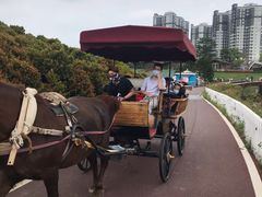 -迪茵湖田家舍生态农场