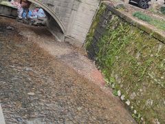 -欣怡茶庄·始于1999(梅家坞店)