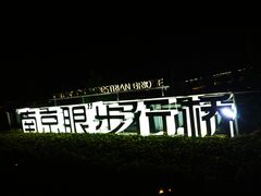 -南京眼步行桥