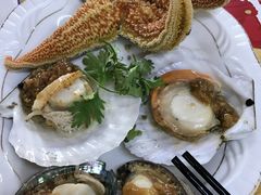 清蒸海星-人和啤酒屋海鲜大排档(营口路店)