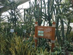 景点-西安世博园