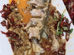 -杨氏青龙虾·羊蝎子(托乐嘉店)