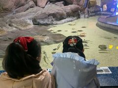 -福州罗源湾海洋世界旅游区