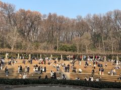-音乐台