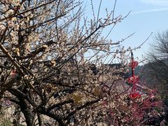 -北高峰