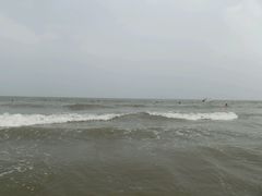 -日照海滨国家森林公园