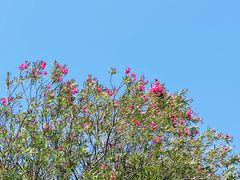 -蒋氏故居