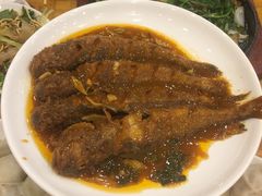 啤酒焖黄花鱼-枫林饺子