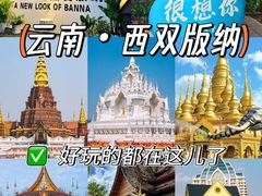 -西双版纳原始森林公园