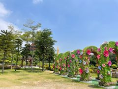-广州莲花山旅游区