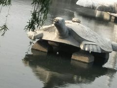 -东方巨龟苑景区