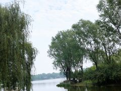 -石家庄市植物园