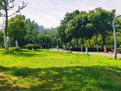 -滨湖塘西河公园