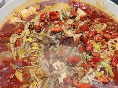 -美蛙四季(亦庄店)