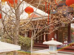 -华清宫景区