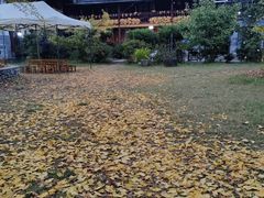 -腾冲国萍农家乐