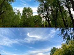 -潇河湿地公园