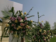 -北京张裕爱斐堡酒庄