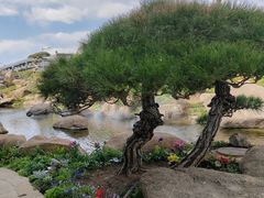 -罗红摄影艺术馆