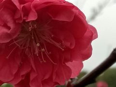 -艾溪湖湿地公园