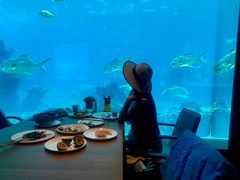 -海棠湾洲际-涛·海底餐厅·美人鱼·自助餐·海底隧道