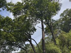 -洛阳白云山景区