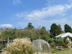 -同里国家湿地公园