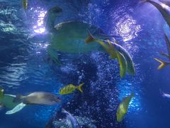 -太平洋海底世界