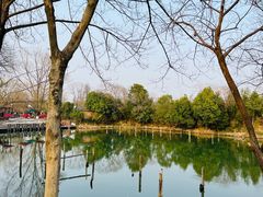 -西溪国家湿地公园