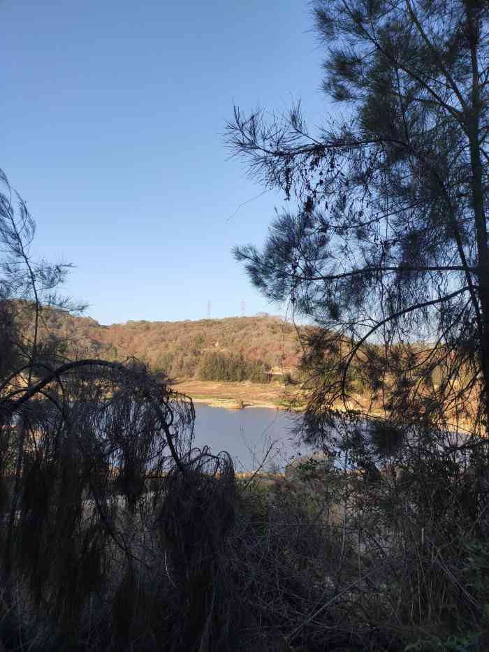 东坪山水库-"还不错的地方,可以运动可以跑步,可以约会.