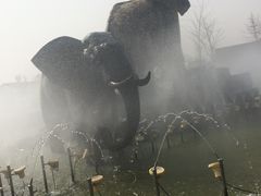 -临沂动植物园
