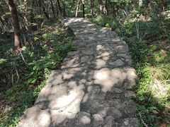 -南山风景名胜区