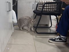 -佳雯宠物医院·皮肤科·内外科(春晓路分院)