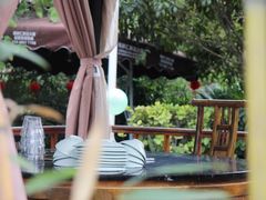 景观位-二荆条·蜀鲜汇城市森林火锅