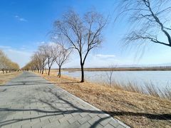 -野鸭湖国家湿地公园