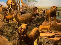 -陕西自然博物馆