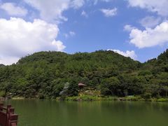 -广州白江湖森林公园