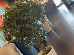 -晶泽丽琅·鱼鲜川菜(川师店)