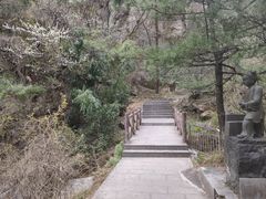 -王顺山国家森林公园
