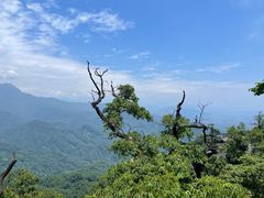 -青城山