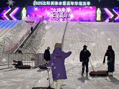 -沈阳奥体冰雪嘉年华