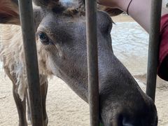 -石家庄市动物园