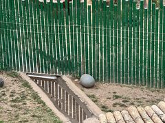 -沈阳森林动物园