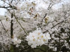 -中国茶叶博物馆(双峰馆区)