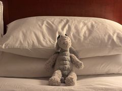 -上海明天广场JW万豪酒店