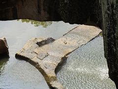 -蛇蟠岛