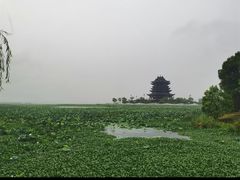 -阳澄湖半岛旅游度假区