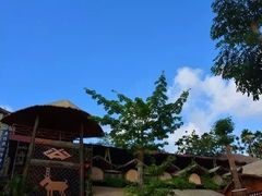 -海南槟榔谷黎苗文化旅游区